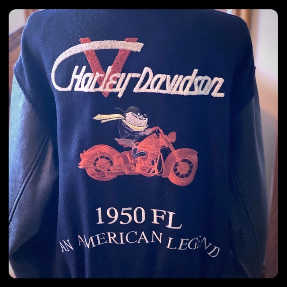 Vintage Harley-Davidson Jacket!